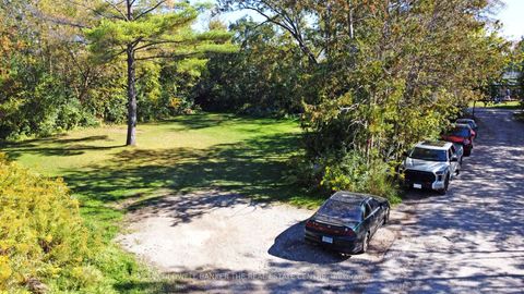 Photo 8 at 187 Mary Street, College Manor, Newmarket