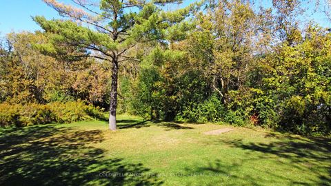 Photo 12 at 187 Mary Street, College Manor, Newmarket