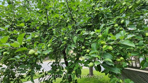 Photo 26 at 30 Mcconkey Place, Allandale Heights, Barrie