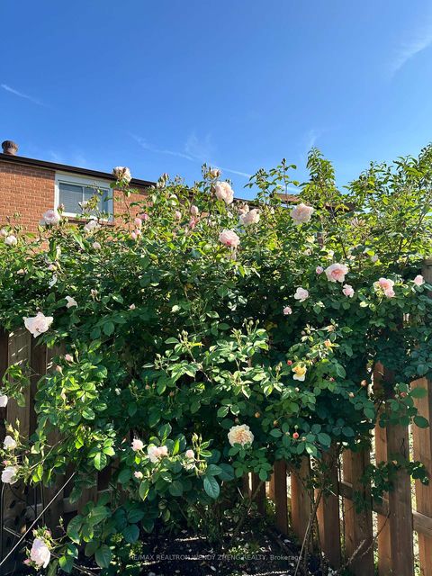 Photo 33 at 90 Radwell Crescent, Milliken, Toronto Photo 33 at 90 Radwell Crescent, Milliken, Toronto