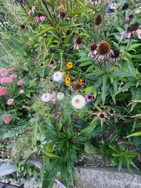 Photo 42 at 1273 Lansdowne Avenue, Davenport, Toronto