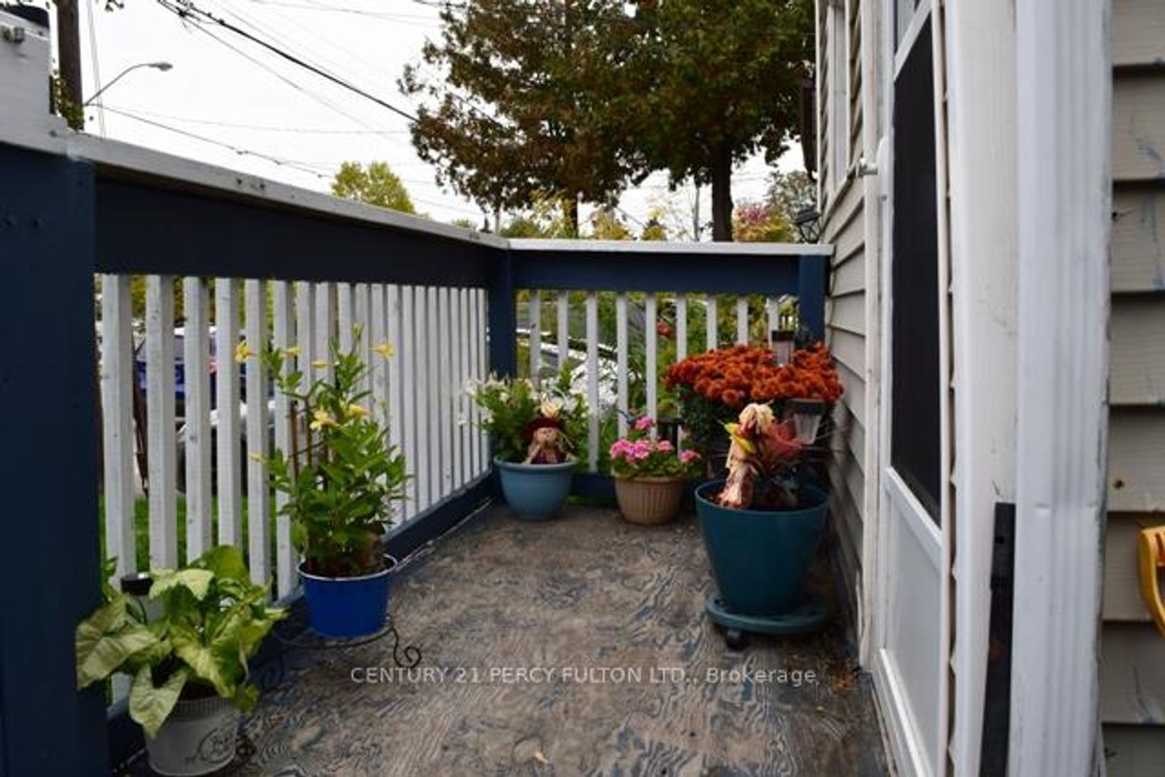 Photo 14 at 171 Raleigh Avenue, Birchmount, Toronto Photo 14 at 171 Raleigh Avenue, Birchmount, Toronto