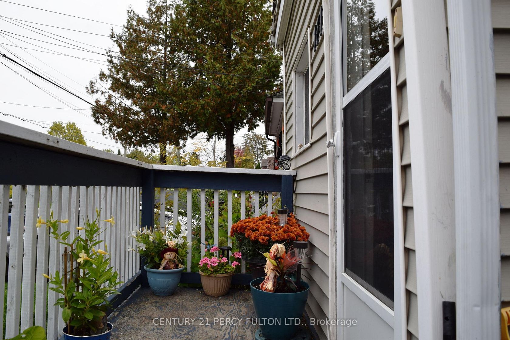 Photo 15 at 171 Raleigh Avenue, Birchmount, Toronto Photo 15 at 171 Raleigh Avenue, Birchmount, Toronto