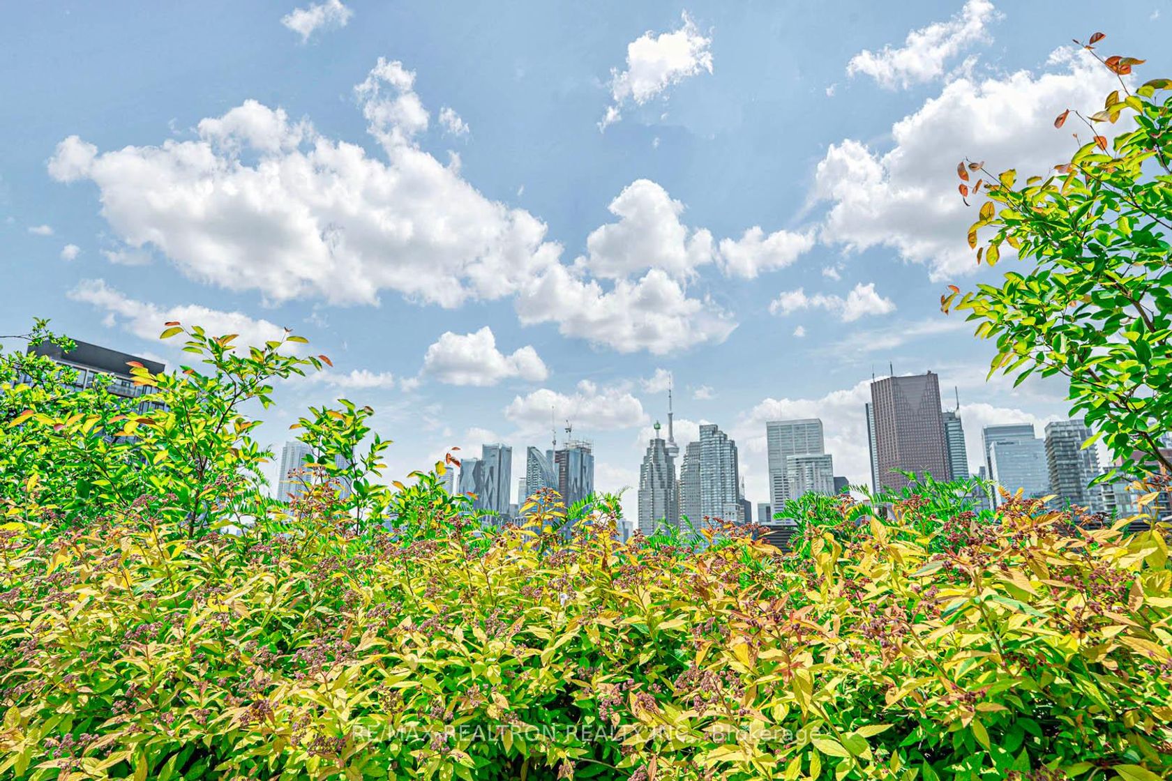 Photo 34 at 318 - 230 King Street E, Moss Park, Toronto Photo 34 at 318 - 230 King Street E, Moss Park, Toronto