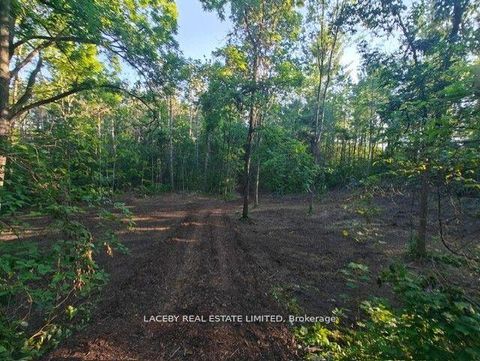 Photo 11 at 154 Dearbourne Avenue, Rural King, King