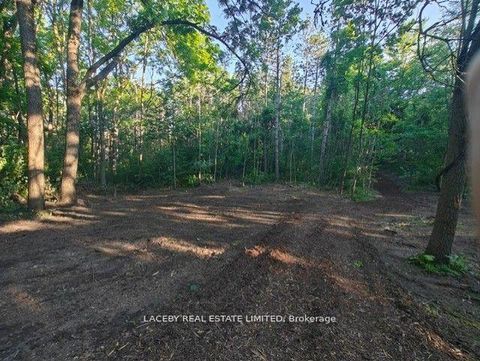 Photo 13 at 154 Dearbourne Avenue, Rural King, King