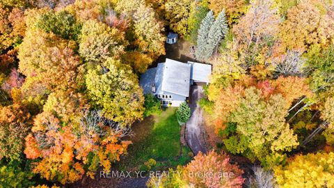 Photo 44 at 14038 Bayview Avenue, Aurora Estates, Aurora