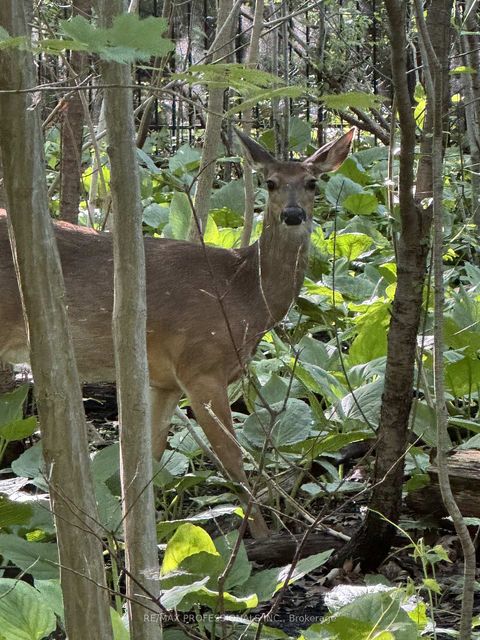 Photo 25 at 1710 - 270 Scarlett Road, Smythe, Toronto Photo 25 at 1710 - 270 Scarlett Road, Smythe, Toronto