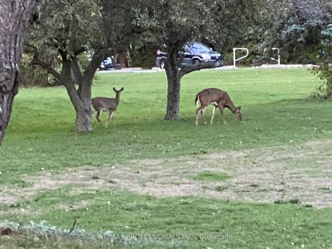 Photo 26 at 1710 - 270 Scarlett Road, Smythe, Toronto Photo 26 at 1710 - 270 Scarlett Road, Smythe, Toronto