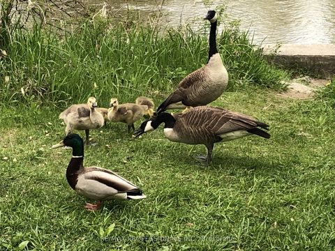 Photo 27 at 1710 - 270 Scarlett Road, Smythe, Toronto Photo 27 at 1710 - 270 Scarlett Road, Smythe, Toronto