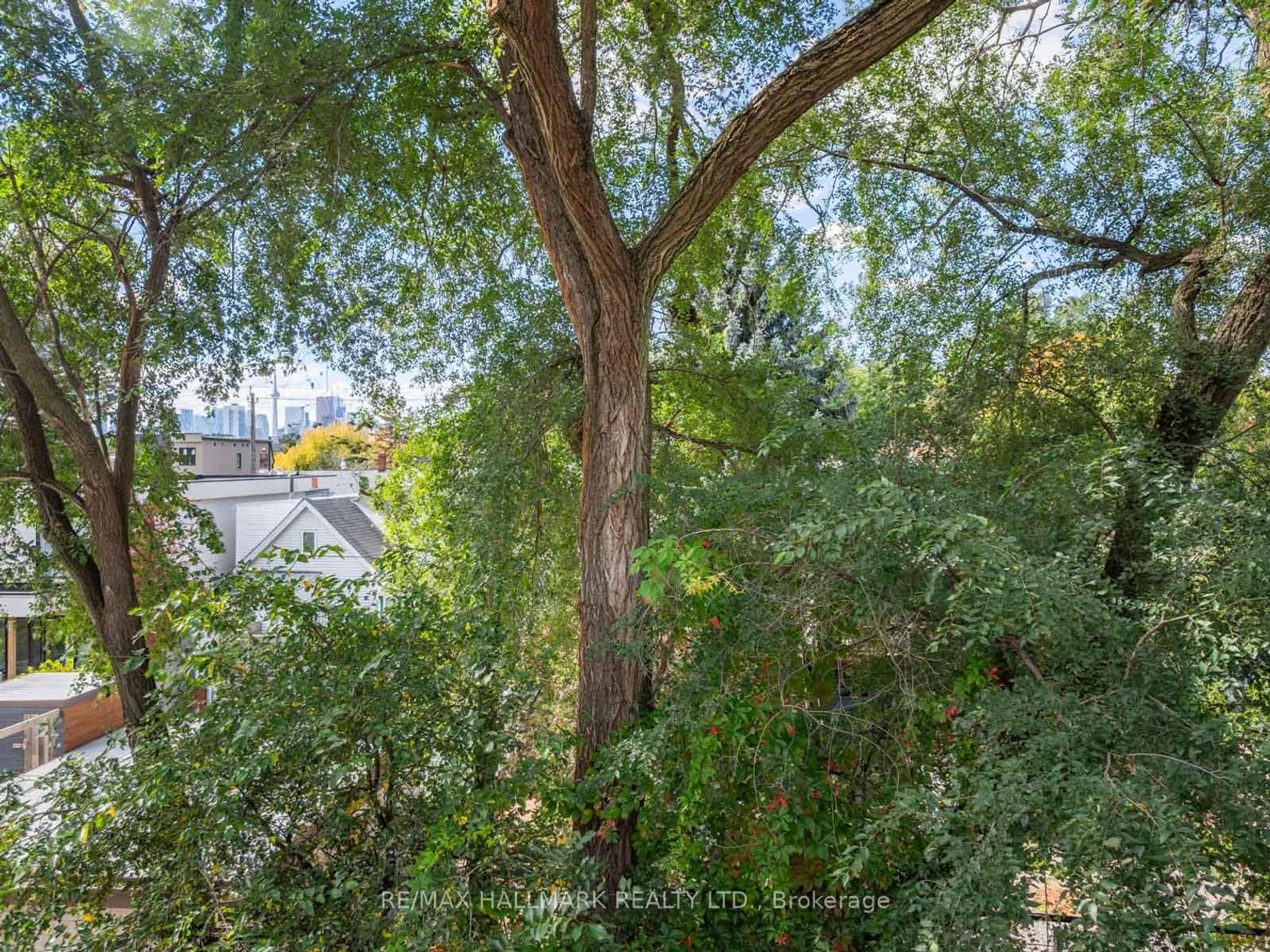 Photo 35 at 2 - 66 Boultbee Avenue, Jones, Toronto Photo 35 at 2 - 66 Boultbee Avenue, Jones, Toronto