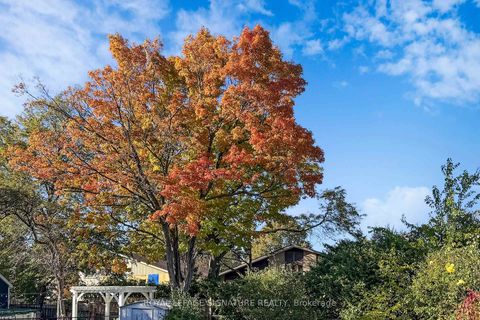 Photo 48 at 410 Patricia Avenue, Newtonbrook West, Toronto