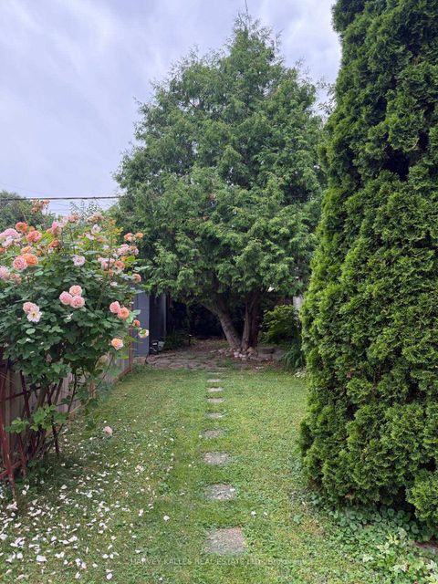 Photo 35 at 338 Bartlett Avenue N, Junction, Toronto Photo 35 at 338 Bartlett Avenue N, Junction, Toronto