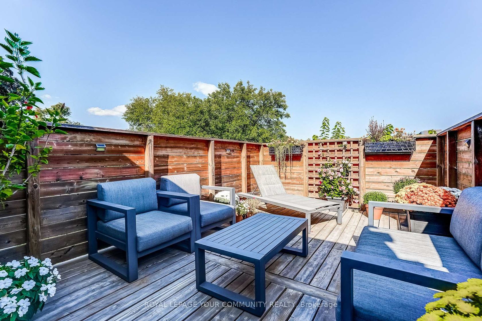 Photo 38 at 13 Howland Road, North Riverdale, Toronto Photo 38 at 13 Howland Road, North Riverdale, Toronto