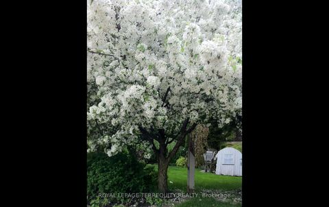 Photo 42 at 59 Baby Point Road, Lambton Baby Point, Toronto