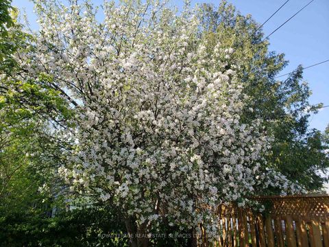 Photo 36 at 21 Christina Crescent, Maryvale, Toronto