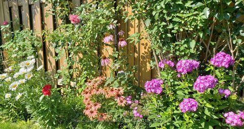 Photo 39 at 21 Christina Crescent, Maryvale, Toronto Photo 39 at 21 Christina Crescent, Maryvale, Toronto