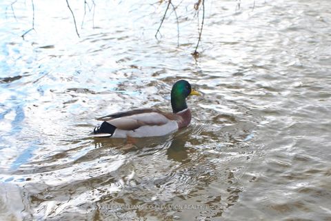 Photo 36 at 1306 - 260 Scarlett Road, Smythe, Toronto