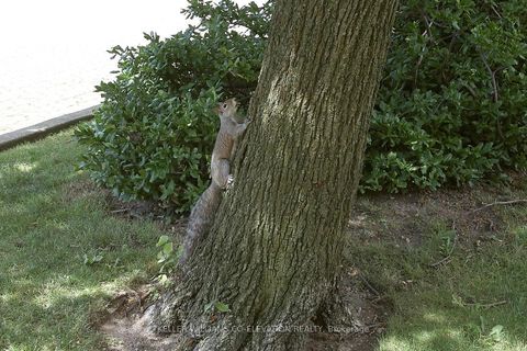 Photo 37 at 1306 - 260 Scarlett Road, Smythe, Toronto Photo 37 at 1306 - 260 Scarlett Road, Smythe, Toronto