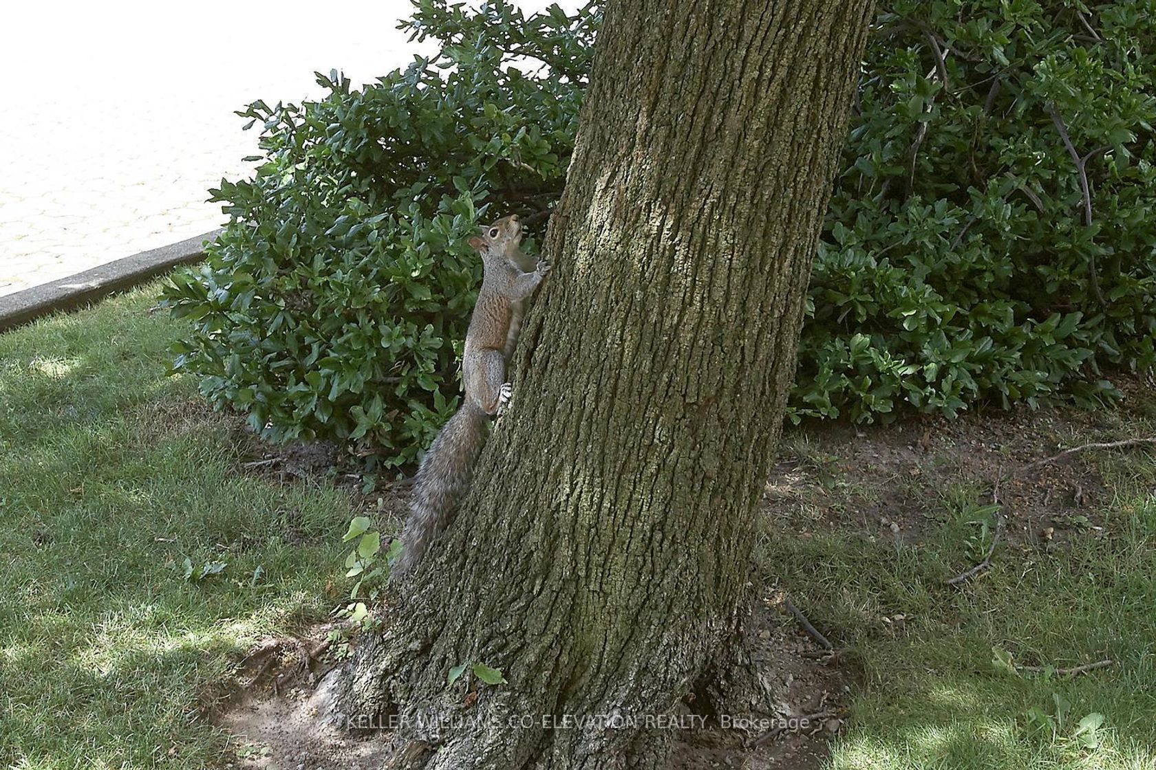 Photo 37 at 1306 - 260 Scarlett Road, Smythe, Toronto Photo 37 at 1306 - 260 Scarlett Road, Smythe, Toronto