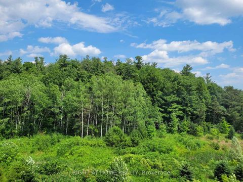 Photo 40 at 216 Sunset Vista Court E, Aurora Estates, Aurora