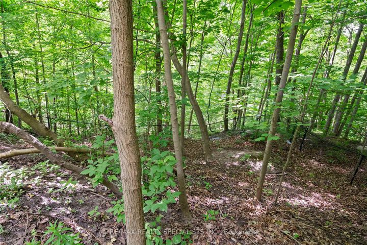 Photo 39 at 42 Heathview Avenue, Bayview Village, Toronto