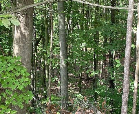 Photo 41 at 26 Kenwell Crescent, Holly, Barrie