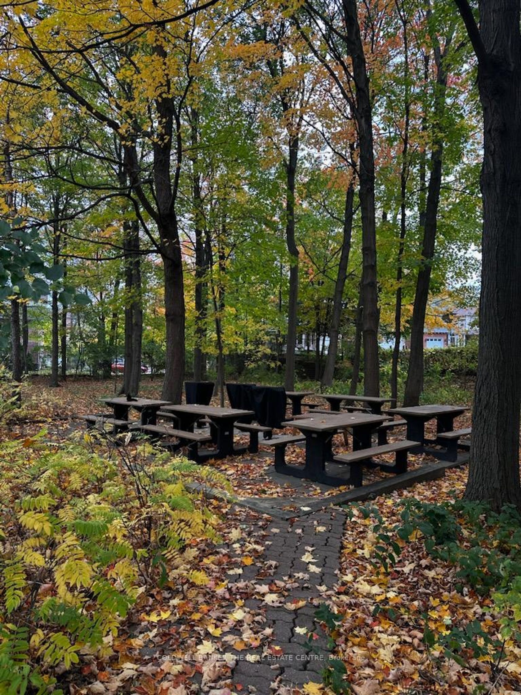 Photo 25 at 1211 - 121 Ling Road, West Hill, Toronto Photo 25 at 1211 - 121 Ling Road, West Hill, Toronto