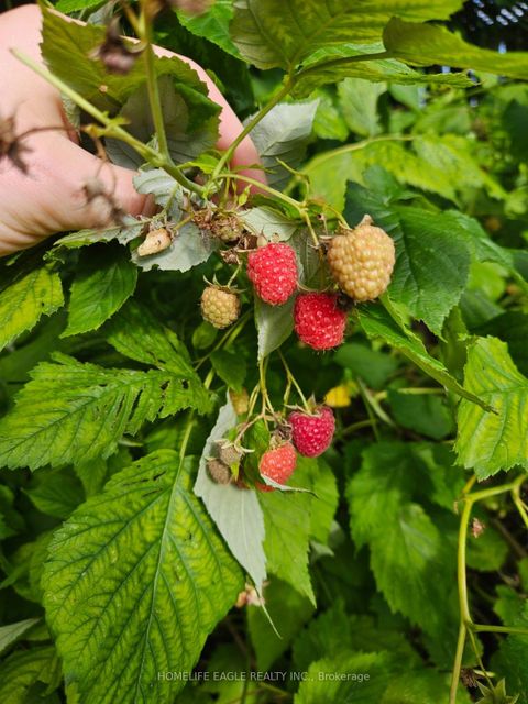 Photo 22 at 19280 Dufferin Street, Rural King, King