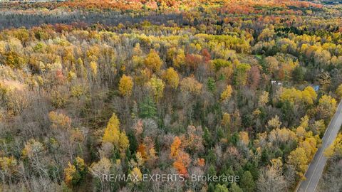 Photo 11 at 4530 19th Side Road, Pottageville, King