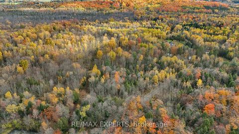 Photo 12 at 4530 19th Side Road, Pottageville, King