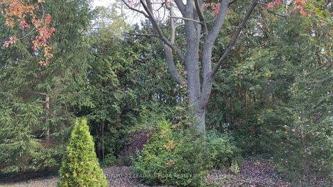 Photo 3 at 117 Westwood Lane, South Richvale, Richmond Hill