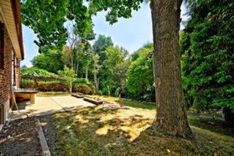 Photo 28 at 19 Skipton Court, CFB, Toronto