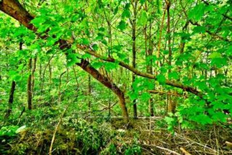 Photo 35 at 19 Skipton Court, CFB, Toronto