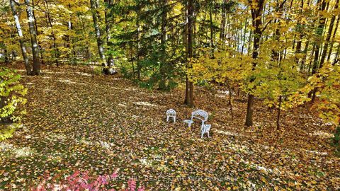 Photo 41 at 124 Forest Ridge Road, Rural Richmond Hill, Richmond Hill