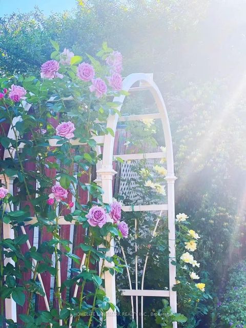 Photo 26 at 40 Belinda Square, Steeles, Toronto