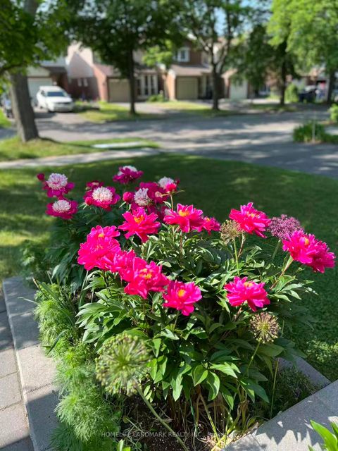 Photo 29 at 40 Belinda Square, Steeles, Toronto