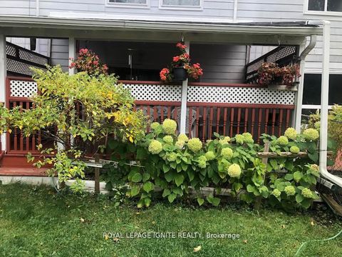 Photo 29 at 36 Goskin Court, Malvern, Toronto