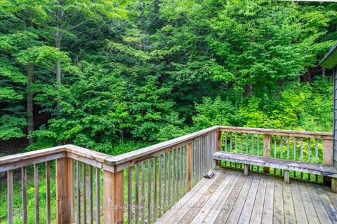 Photo 15 at 2445 Riverside Drive, Rural Clearview, Clearview