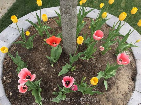 Photo 43 at 17 Tarmack Drive, Jefferson, Richmond Hill