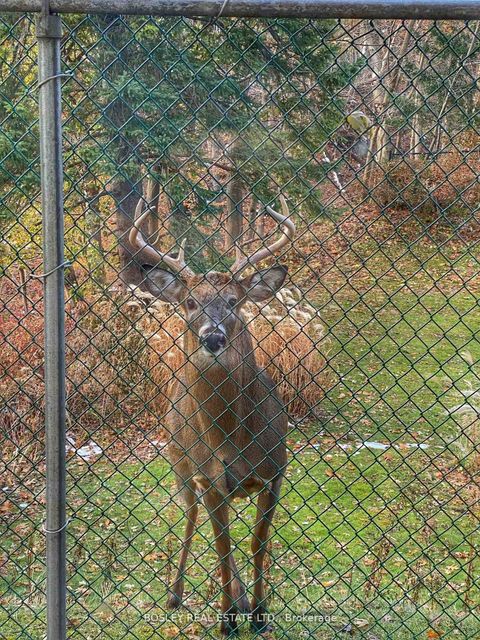 Photo 43 at 25 Ayre Point Road, Cliffcrest, Toronto