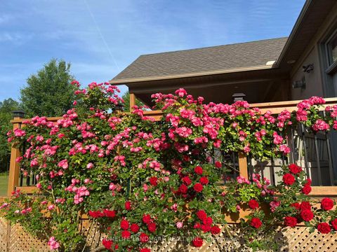 Photo 24 at 12 Clarinda Drive, Bayview Village, Toronto