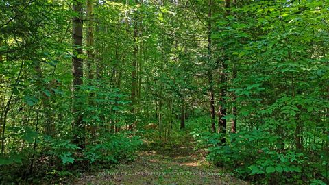 Photo 5 at 15600 Weston Road, Rural King, King