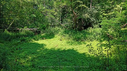 Photo 7 at 15600 Weston Road, Rural King, King