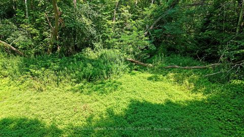 Photo 9 at 15600 Weston Road, Rural King, King