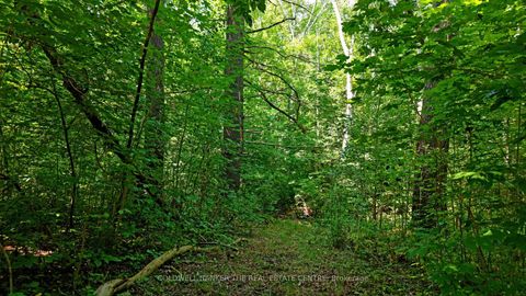 Photo 14 at 15600 Weston Road, Rural King, King