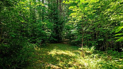 Photo 16 at 15600 Weston Road, Rural King, King