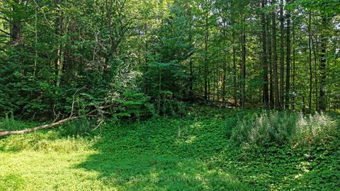 Photo 18 at 15600 Weston Road, Rural King, King