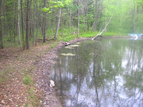 Photo 29 at 15600 Weston Road, Rural King, King