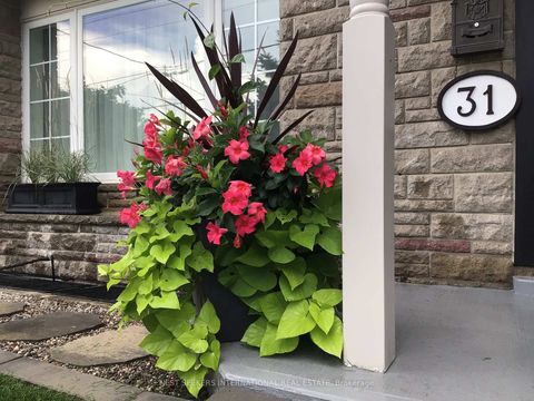 Photo 33 at 31 Mark Street, Aurora Village, Aurora